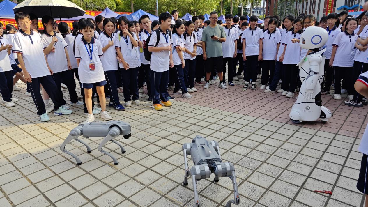 af6e2070987f72dd241bafb1d7dd24d